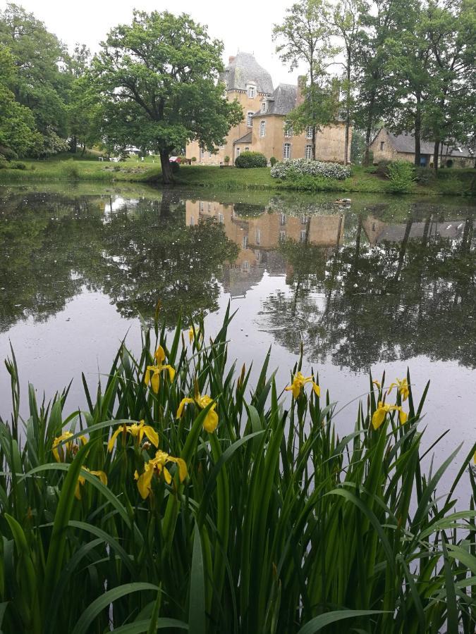 Chateau Du Bois Glaume Poligné Buitenkant foto